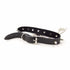 Nipple Cover Chain Collar Pasties